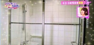 kouhakuriha2-12-31_021314_R