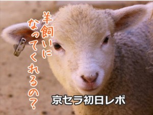 ワクワク学校初日6月7日GUTS！を披露！合宿レポまとめ【動物園！】