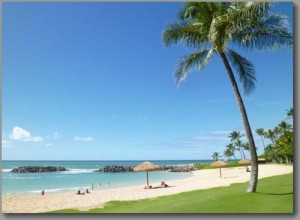 嵐ハワイツアーコオリナ現地情報！留守番組も気になって仕方ない！